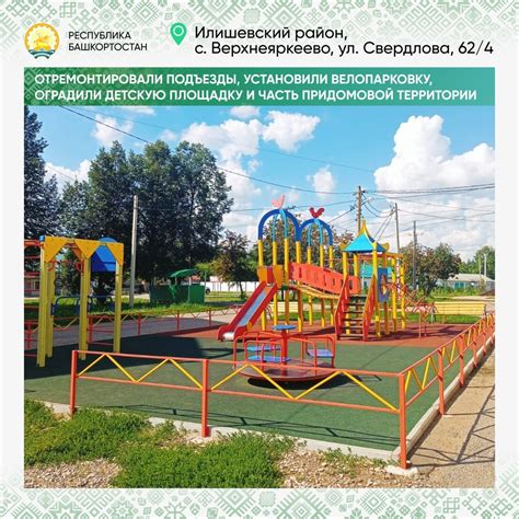Адаптация и создание комфортных условий для пушистого новичка на загородной территории
