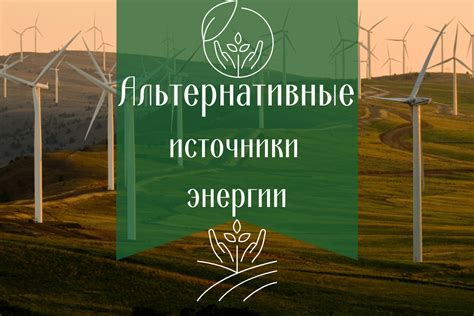 Альтернативные источники чаги: достоверные и надежные источники сырья