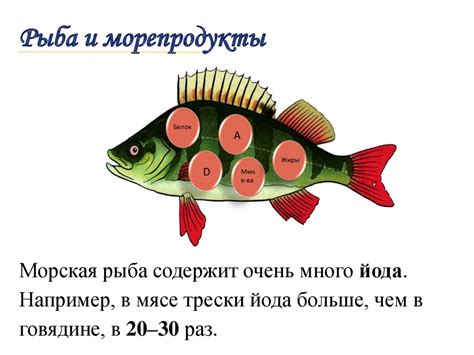 Альтернативные методы сохранения рыбы в свежем состоянии
