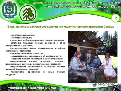 Альтернативные способы владения лесами: аренда и пользование