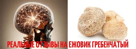 Анализ отзывов и мнений о применении специальных устройств для создания кудрей на волосах