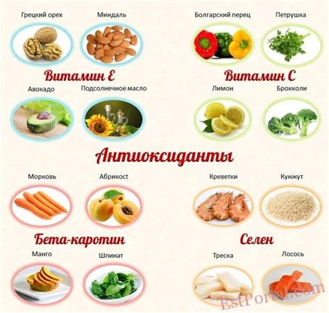 Антиоксидантные свойства цикория и борьба с преждевременным старением