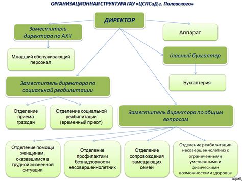 Архитектура и функции ЦСПСИД
