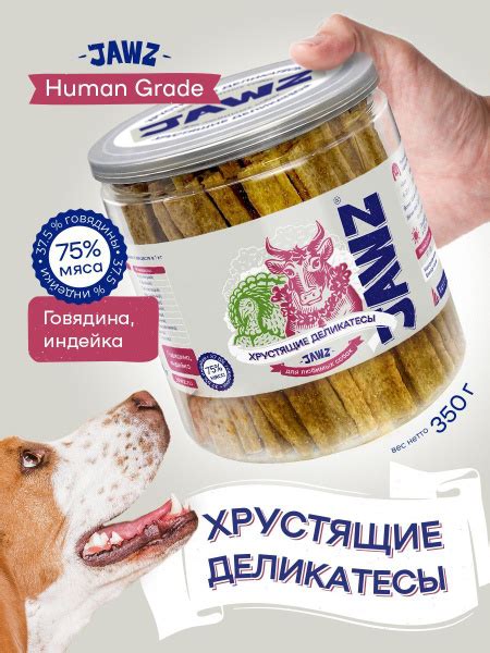 Безопасные альтернативы и восхитительные деликатесы для питомцев