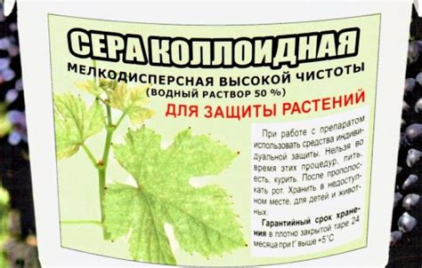 Биологические методы расщепления коллоидной серы