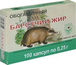 Благотворные свойства и ценность барсучьего жира для поддержания здоровья