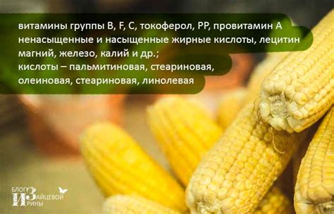 Богатство полезных веществ в кукурузных палочках