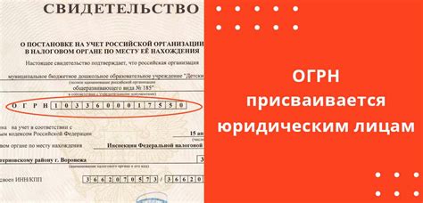 Важная информация о ИНН и ОГРН, которую нужно знать