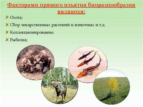 Важность и уникальность биологического разнообразия речных ракообразных