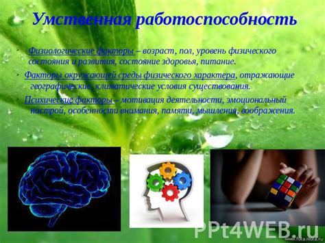 Важность осмысленности умственной работоспособности и ее влияние на повседневное существование