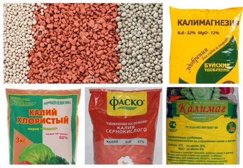 Важность удобрения для эффективного роста и развития растений