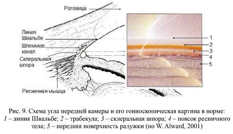 Важные аспекты, которые следует учесть перед отключением передней камеры