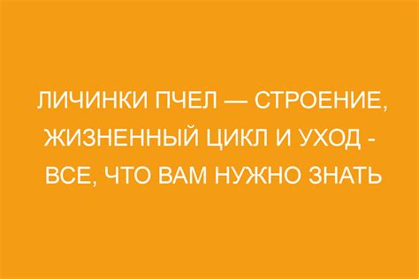 Важные аспекты и строение соглашения
