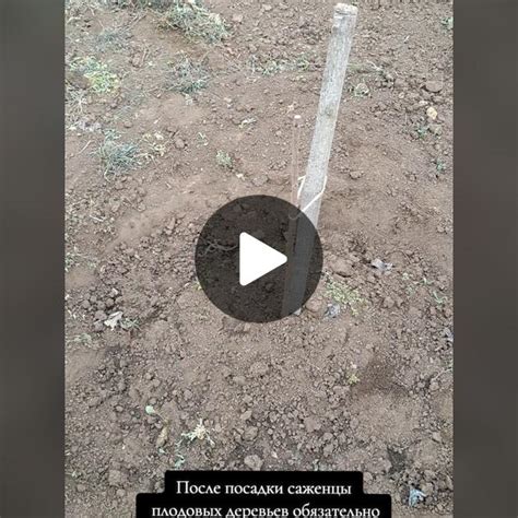 Важные шаги перезагрузки ресивера после активации пакета с настройками для просмотра фильмов