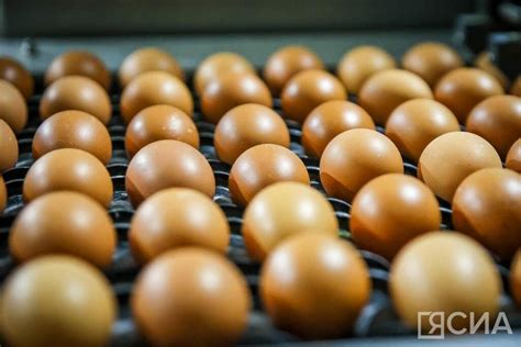 Важные этапы при готовке без добавления яиц