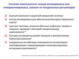 Важный компонент иммунной системы