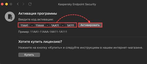 Ввод активации в соответствующую область