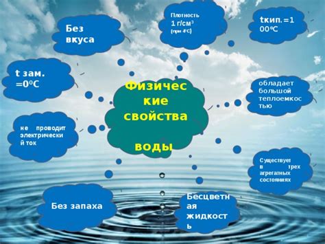 Взаимодействие воды с организмом пушистого спутника