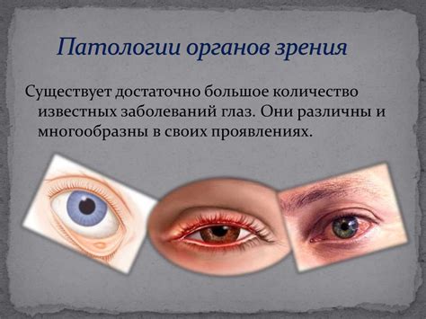 Взаимодействие клещей и органов зрения: суть проблемы