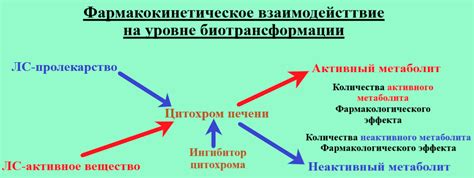 Взаимодействие нейролептиков и ноотропов: ключевые аспекты сотрудничества
