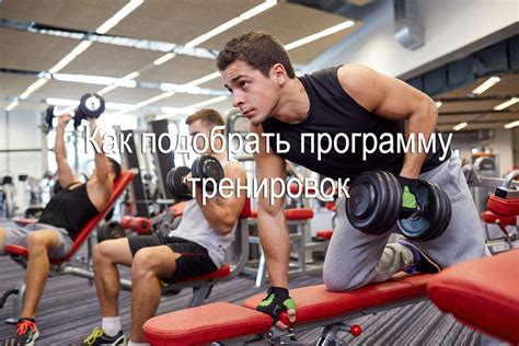 Включение тренировок живота в ежедневную программу тренировок