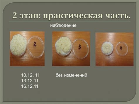 Влияние атмосферных условий и уровня влажности на активный рост грибов