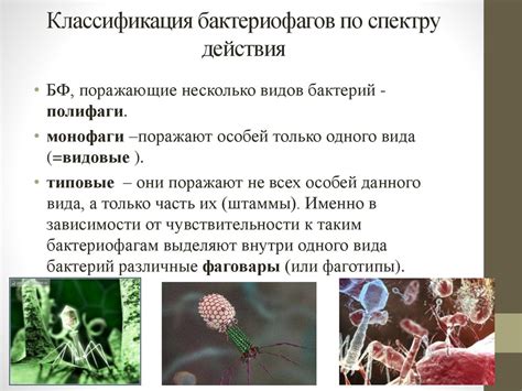 Влияние биологических факторов на социокультурное развитие общества