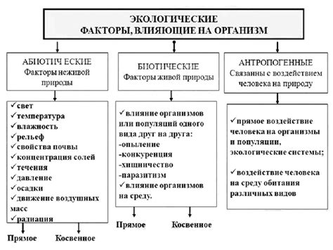 Влияние длительности сеанса в солярии на организм: факторы риска и рекомендации