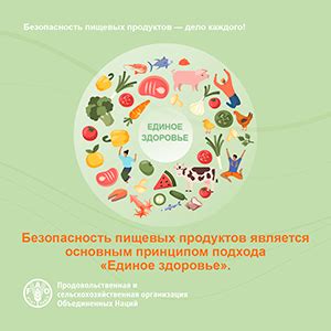 Влияние использования металлической посуды на безопасность пищевых продуктов