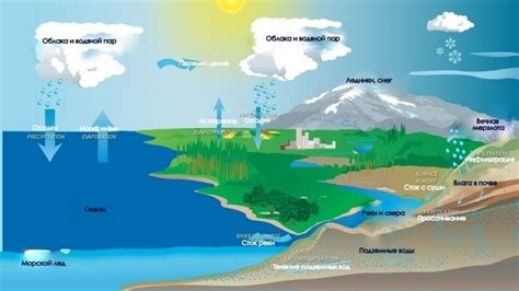 Влияние кипятка на содержание минералов в воде