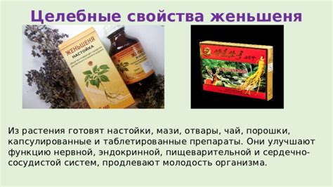Влияние настойки растения на очищение пищеварительной системы перед процедурой эндоскопии