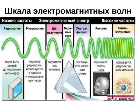 Влияние на здоровье и функционирование