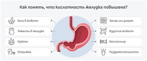Влияние на кислотность желудка и работу пищеварительной системы
