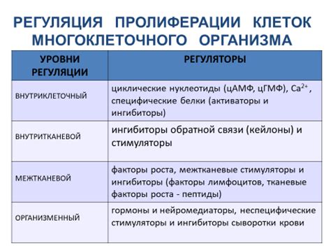 Влияние низкой митотической активности на организм