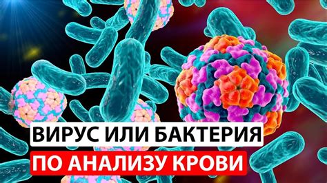 Влияние низкой температуры на организм при вирусной инфекции: особенности и риски