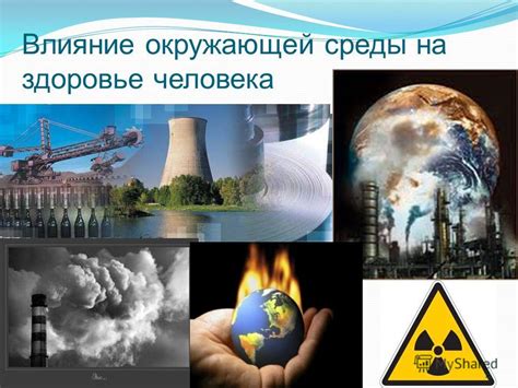 Влияние окружающей среды на способность ахатин впадать в спячку