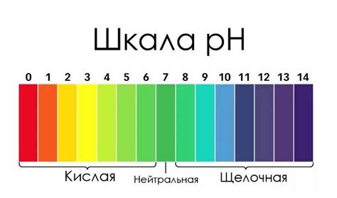 Влияние сливочного масла на pH-баланс желудочного сока