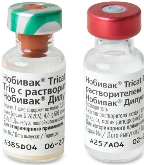 Влияние смешения Нобивак рабиес и трикет: плюсы и минусы