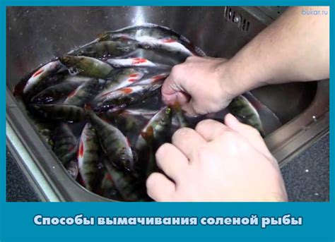 Влияние соленой рыбы на грудное вскармливание: рассмотрение возможных негативных последствий