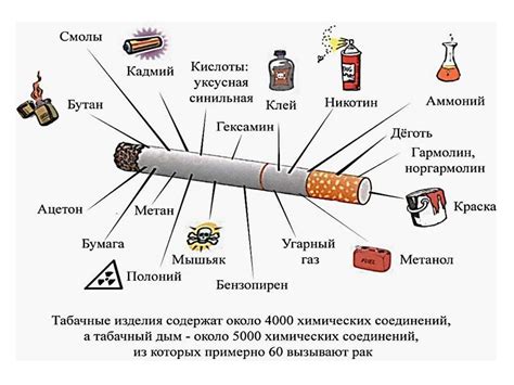 Влияние табачного дыма на состав и свойства крови у активных курильщиков