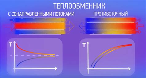 Влияние температуры воды на продолжительность существования роз