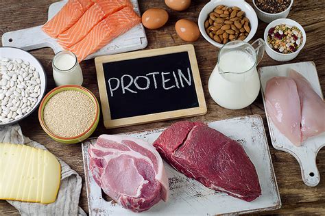 Влияние температуры на биологически активные свойства протеина в пищевых продуктах
