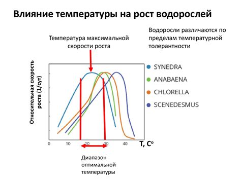 Влияние температуры на появление пятен от масляных ароматических веществ