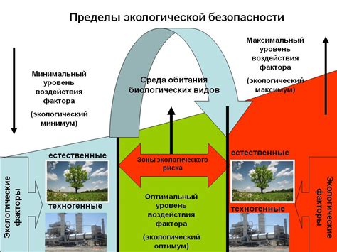 Влияние утилизации на экологическую безопасность автомобилей