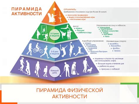 Влияние физической активности на состояние здоровья позвоночного диска