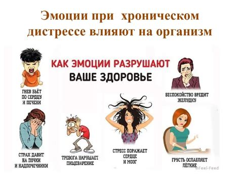 Влияние фундука на качество сна и состояние бодрствования