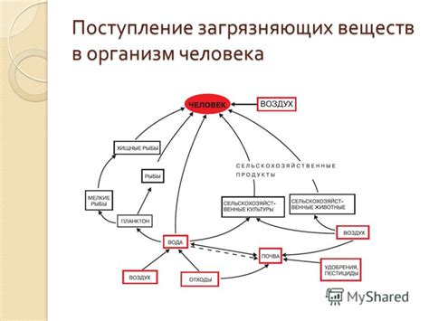 Воздействие образования и окружающей среды на изменение индивидуальности