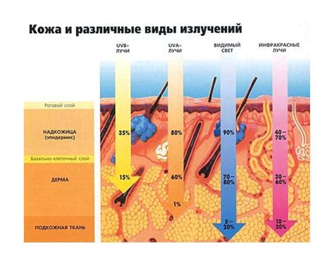 Воздействие солярия на кожу и его влияние на здоровье