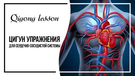 Возможности для сердечно-сосудистой системы