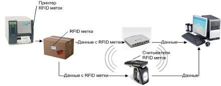 Возможности и особенности работы с Раптором: достоинства и уникальные применения